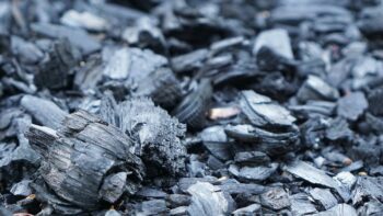 What Does Charcoal Do In Water Filtration