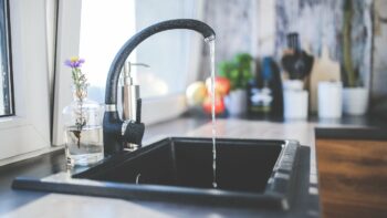 Tap Water Health Risks for the Immunocompromised