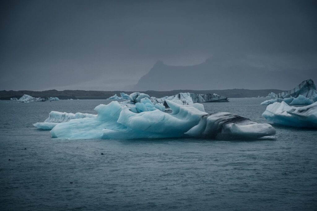 icebergs on body of water