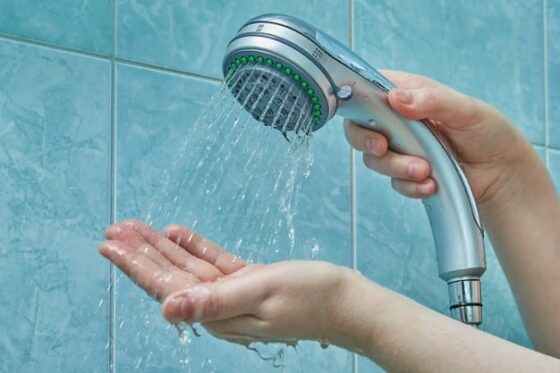 Handheld shower head