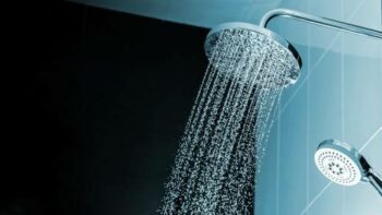 The Different Types of Shower Heads and Which One Is Right for You