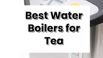 6 Best Water Boilers for Tea Reviewed