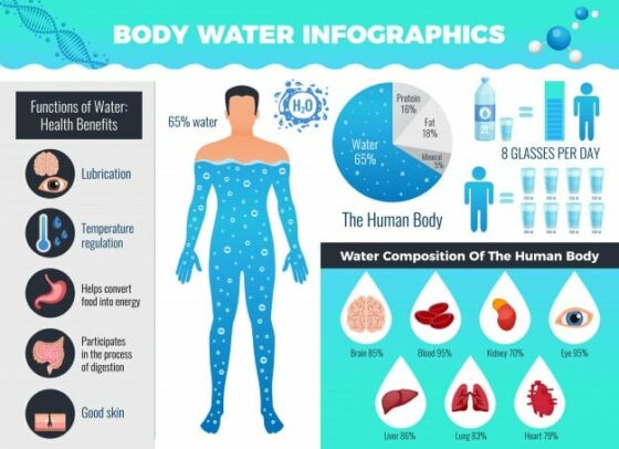 human body water