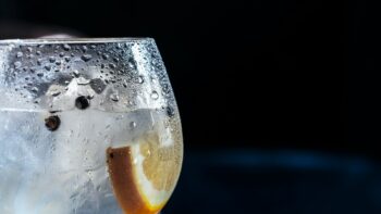 What is Tonic Water & How Is It Bad For You?