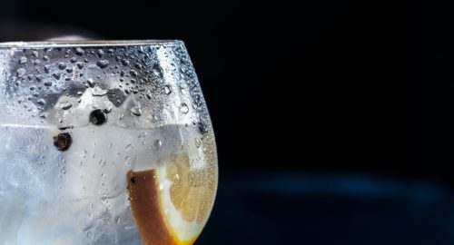 close-up photography of chilled wine glass with clear beverage and slice of lemon