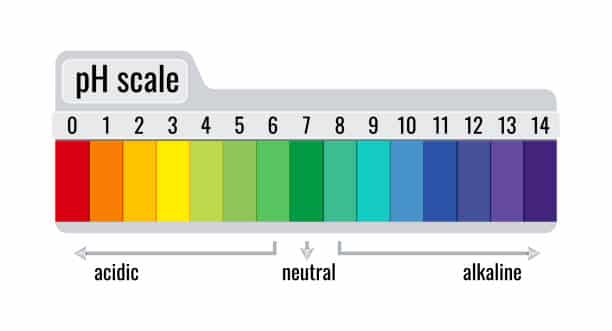 pH value scale chart meter for acid and alkaline solutions isolated on white background. Paper test strips on plate - acid and base balance litmus indicator infographic. Flat vector illustration.