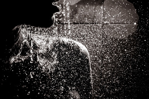 Black and white image of a woman's shoulder under the shower.