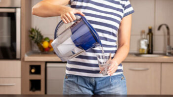 Why Is Black Mold In Water Pitcher? How to Prevent & Clean