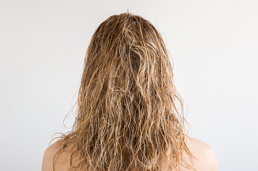 Wet, blonde, messy woman's hair after shower on the gray background. Care about beautiful, healthy and clean hair. Beauty salon concept. Young girl's back view.