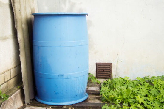 blue barrel for rainwater